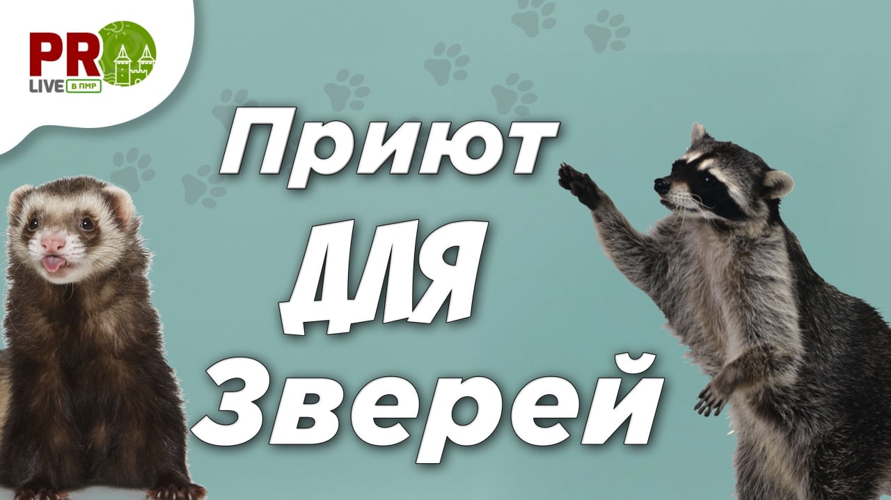 Тираспольский Дом животных