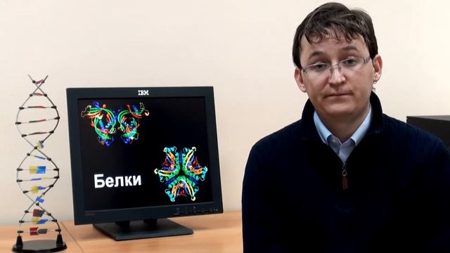 Функции белков