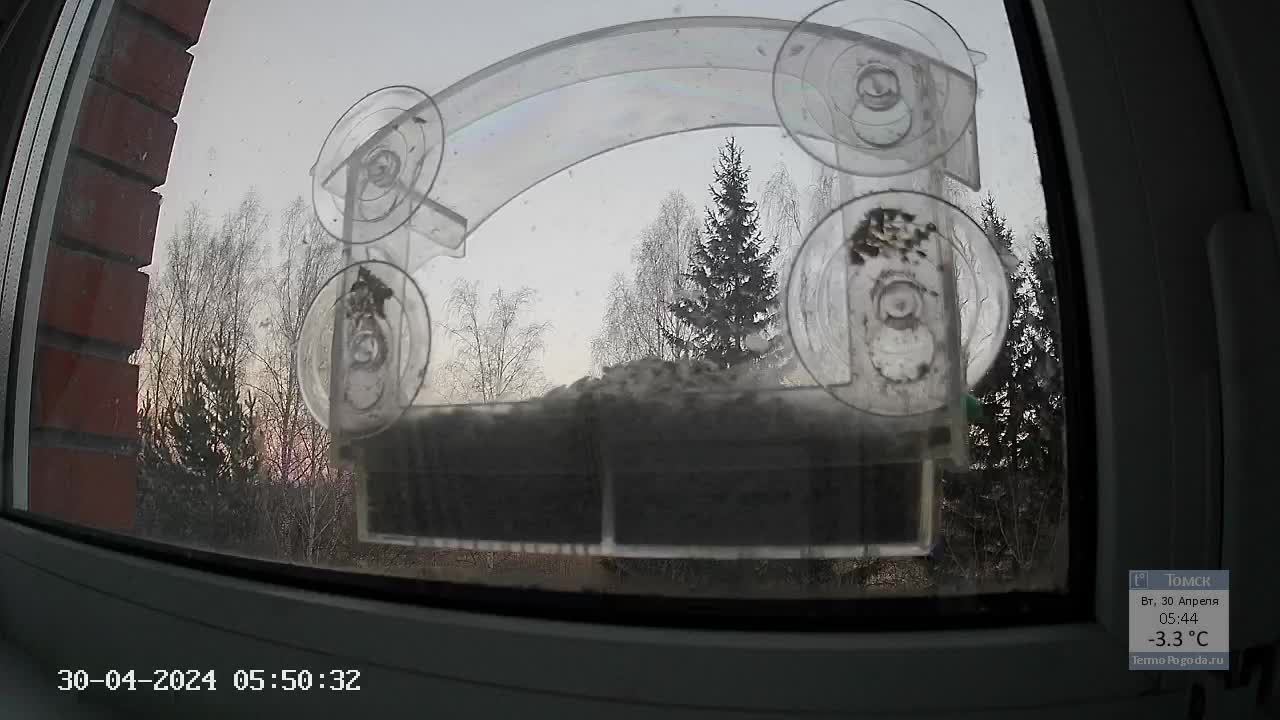 Кормушечка 30.04.24