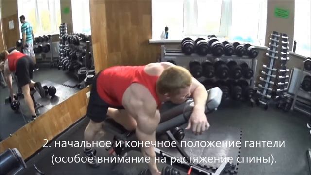 Несколько базовых упражнений на спину.