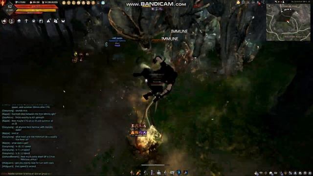Take y Yoshio haciendo desmadre de mercenarios en Black desert
