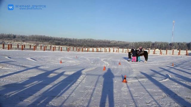 Особенные дети из Дмитрова проходят иппотерапию в конном клубе