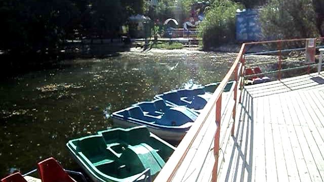 Горпарк Саратова лето 2011