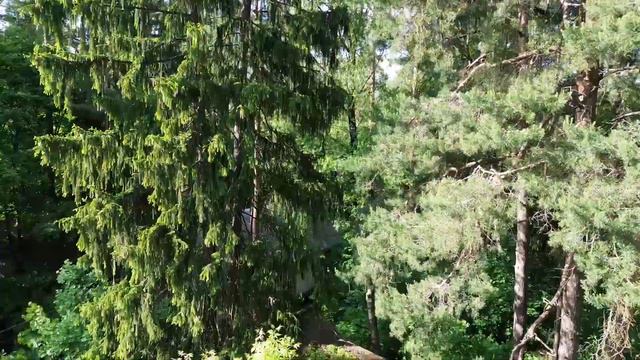 Наш участок в поселке Кратово