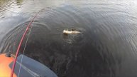 Сломал спининг, щука ... Закрыл сезон, Solar 350 NM 9.8