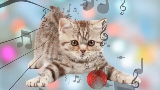 この音楽は、猫を落ち着かせ、1分もかからずに眠るのに役立ちます。猫のための音楽 【 CATS MUSIC BGM 2021】#猫の音楽
