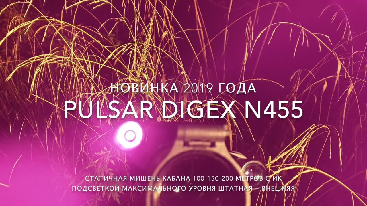 Pulsar Digex N455 запись в темноте в по макету кабана на просеке с дистанциями 100-150-200 метров