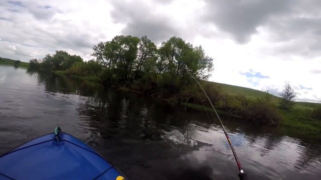 Ловля голавля сплавом по реке Дон