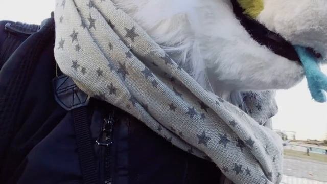 Выгул фурсьюта 1 фурсьют