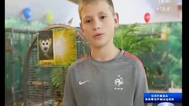 Выставка Обезьян Тольятти