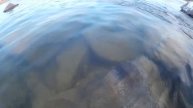Разница в уровне воды на Дону (зима/весна)