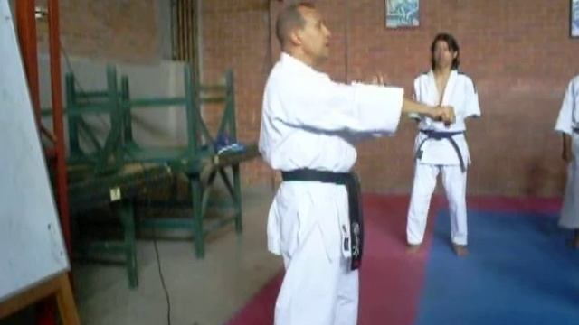 Seminario de Karate-Do Shotokan: Fundametación Técnica