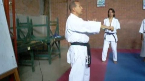 Seminario de Karate-Do Shotokan: Fundametación Técnica