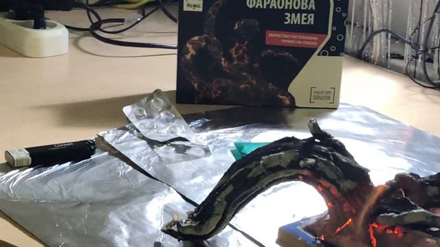 Новогодней выпуск эксперимент