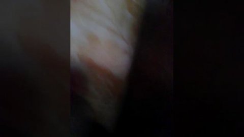 7 октября 2016 г.