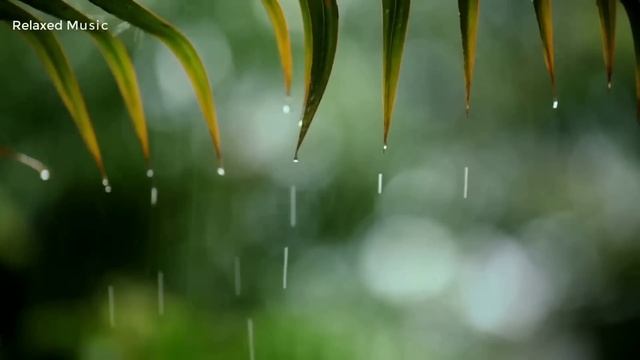 You & Me - Relaxing Piano Music & Soft Rain Sounds For Sleep & Relaxation
