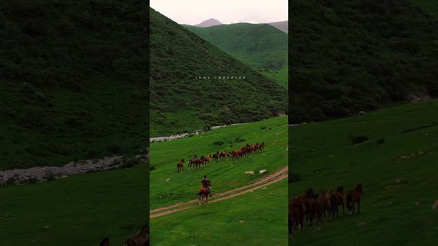 🇰🇬 Чуйская область, Киргизия