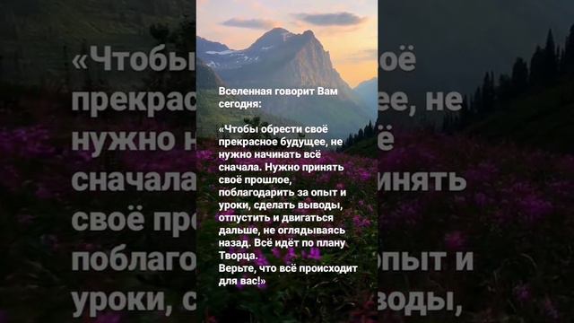 Позитивное тарр