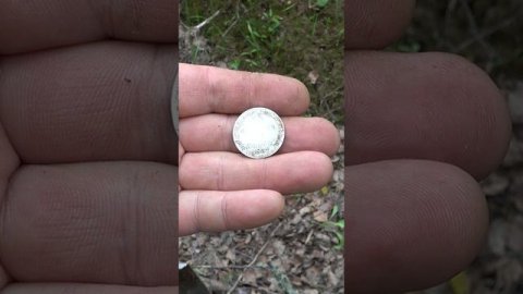 Нашли редкую серебряную монету #короткиевидео #другаяжизнь #metaldetecting #редкаямонета #серебро