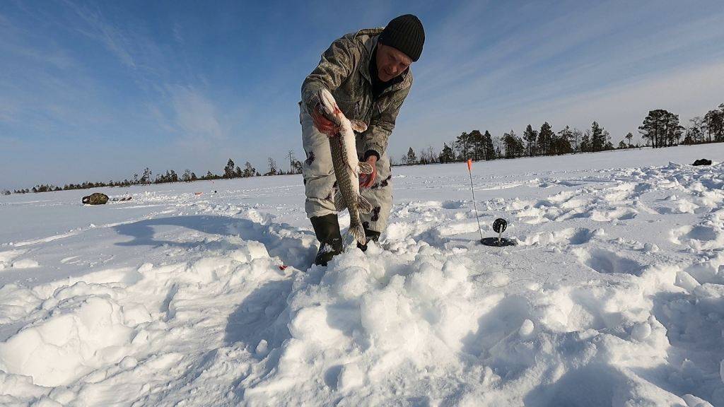 Рыбалка в -30°С. Щука рвёт жерлицы.....