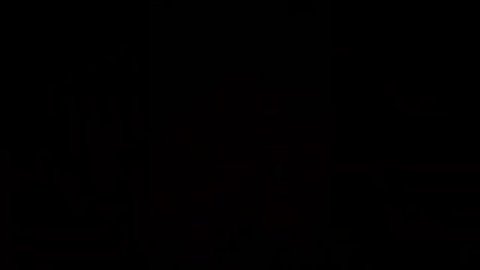 Моя роза El Toro.