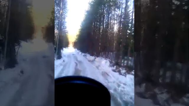 Зимник из делянки.