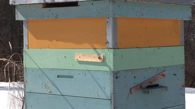 ЗАМЕНА ДОНЬЕВ И МЫСЛИ О ПОДКРЫШНИКЕ УЛЬЯ.