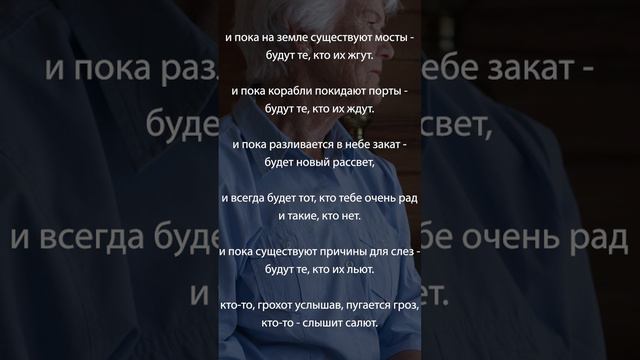 И пока на земле существуют мосты #shorts