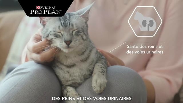Découvrez Purina Pro Plan Cat Sterilised pour les chats stérilisés