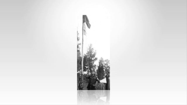 робинзоны