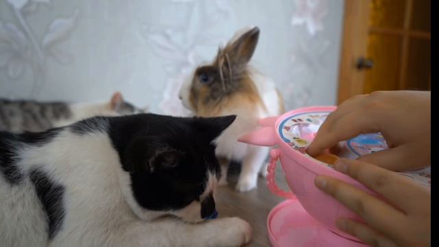 Роспоковка Баффи кукла лол.