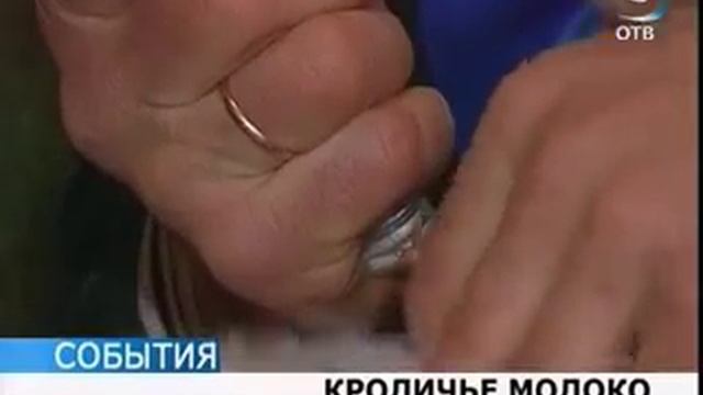 Кролики дают молоко