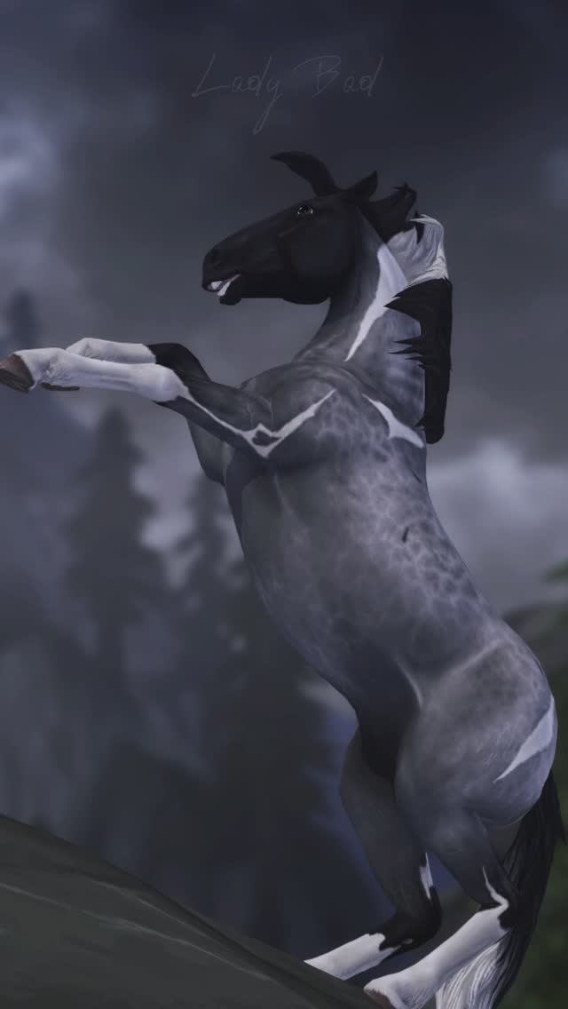 #sso #starstableonline #starstable #лошади