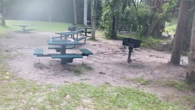 ? 1080 ЛУЧШИЙ ОТДЫХ во Флориде ? природный источник Alexander Springs National Park РАЙ 27.07.2020