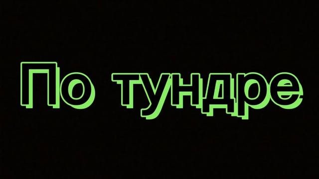 По тундре | Г. Шурмак, И. Аркадьев | Кавер песни, женское соло