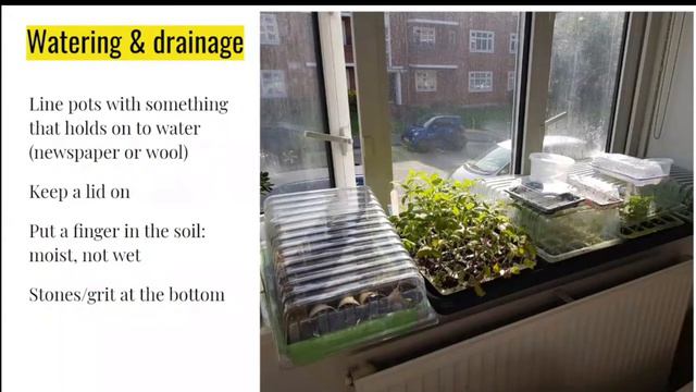Grow your own in small spaces: Cemetery Park Online (24 April 2020)