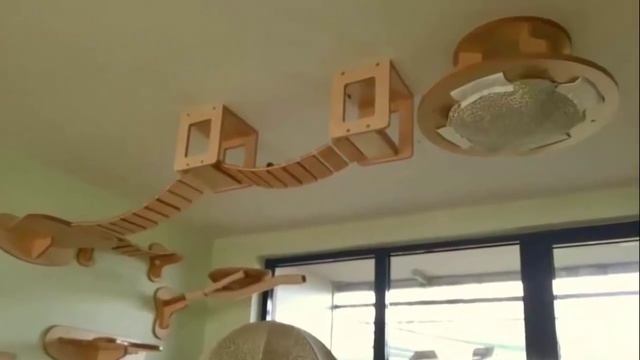 Дизайнерская мебель для кошек