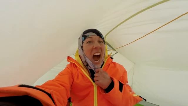 vake 2016 Белка и Стрелка