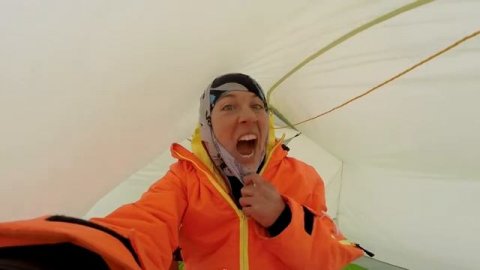 vake 2016 Белка и Стрелка