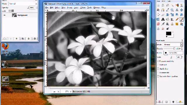 Gimp Magic