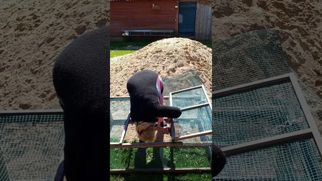 Выгул для цыплят?замена сетки??