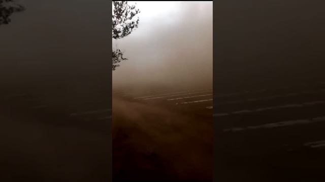 Ураганный ветер на бахчах в Соль-Илецке