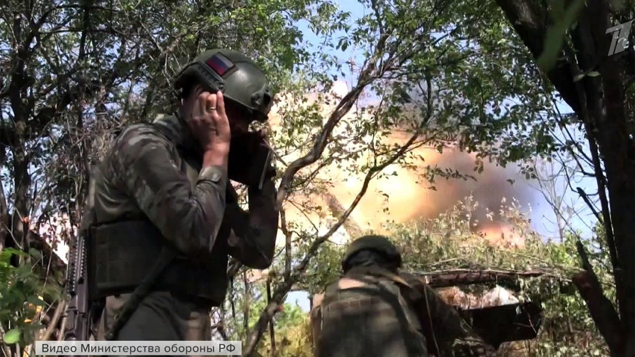 Российская армия освободила населенный пункт Раздоловка в Донецкой Народной Республике