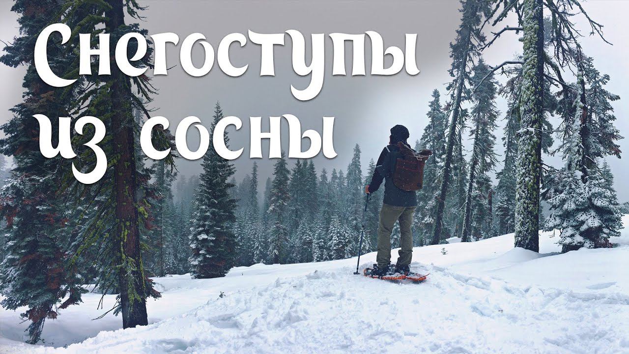 Снегоступы из лапок сосны, менее эффективны, самые простые (Snowshoes survival)