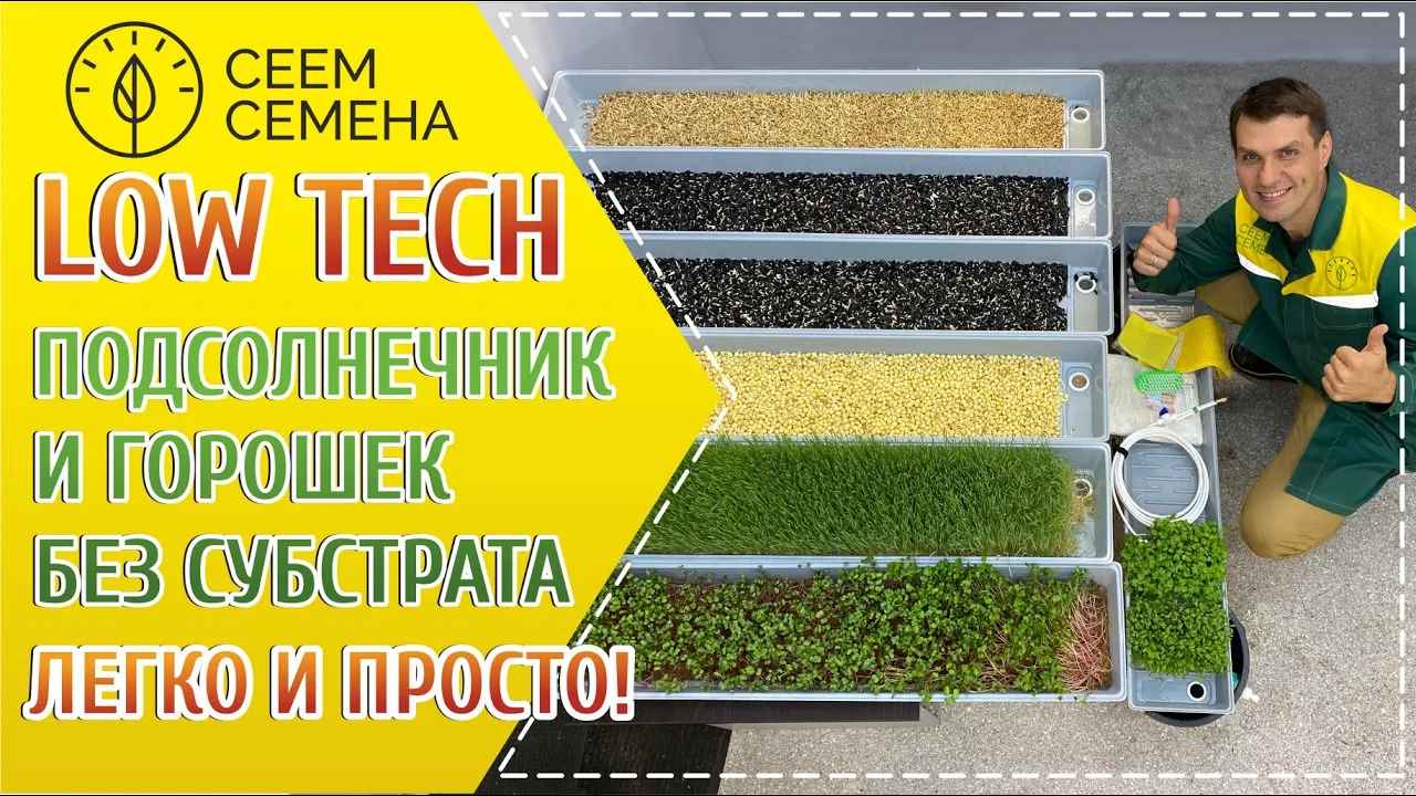 Www Seed Ru Интернет Магазин Www Seed Ru Интернет Магазин