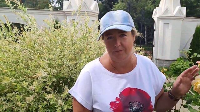 "Маленькие"радости Раевского сада