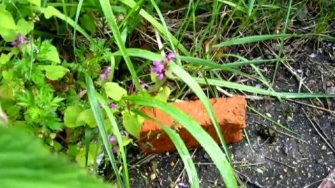 14 - Красный кирпич