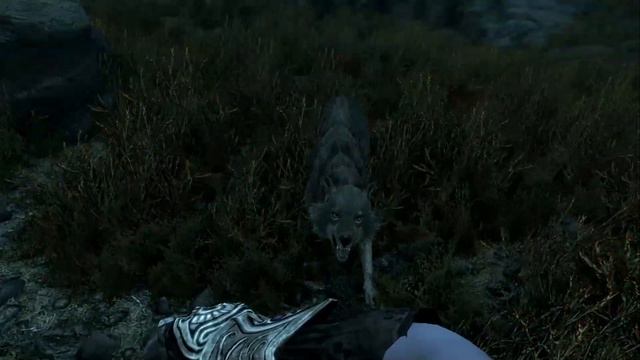 Skyrim (mods) - Testra - Spotlight On: Skyrim Creature Overhaul (XB1)