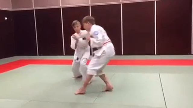 Hokutoryu Ju-Jutsu Espoo Junior Team