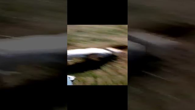в поисках ушедшего домой  друга.